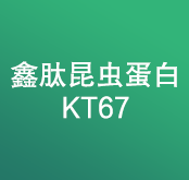鑫肽昆虫蛋白KT67