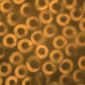 J9����-����վ����